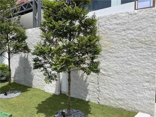 Ponderosa Bungalow 1