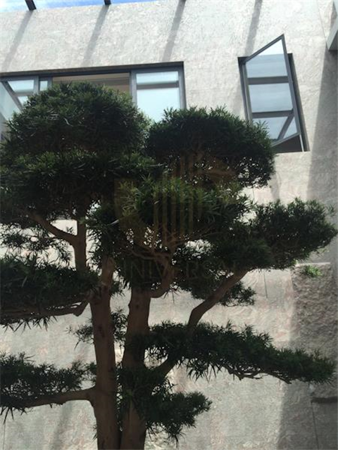 Horizon Hill Bungalow 