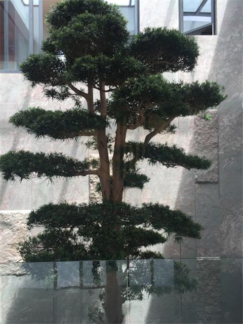 Horizon Hill Bungalow 